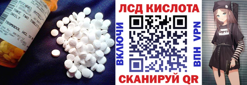 дарнет шоп  Пудож  Лсд 25 экстази ecstasy 